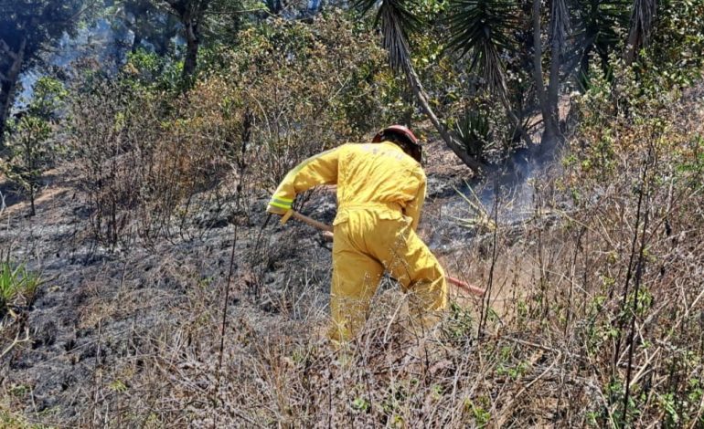 Bomberos controlan incendio en Ciudad Vieja